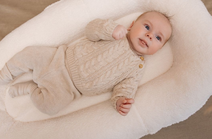 Babynestje 700x460 Babynestje 700x460 1